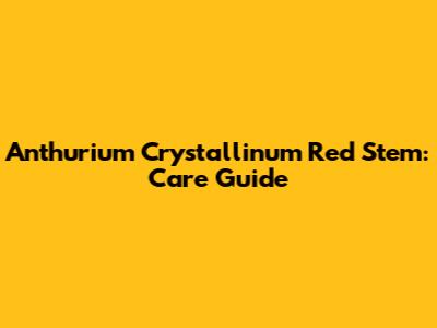 Anthurium Crystallinum Red Stem: Care Guide