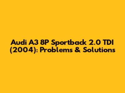 Audi A3 8P Sportback 2.0 TDI (2004): Problems & Solutions