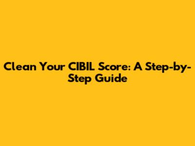 Clean Your CIBIL Score: A Step-by-Step Guide