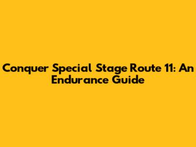 Conquer Special Stage Route 11: An Endurance Guide