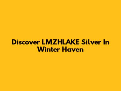 Discover LMZHLAKE Silver In Winter Haven