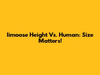 Iimoose Height Vs. Human: Size Matters!