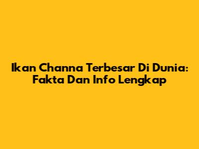 Ikan Channa Terbesar Di Dunia: Fakta Dan Info Lengkap
