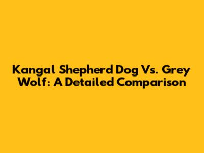Kangal Shepherd Dog Vs. Grey Wolf: A Detailed Comparison