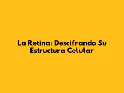 La Retina: Descifrando Su Estructura Celular