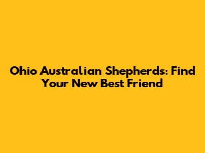 Ohio Australian Shepherds: Find Your New Best Friend