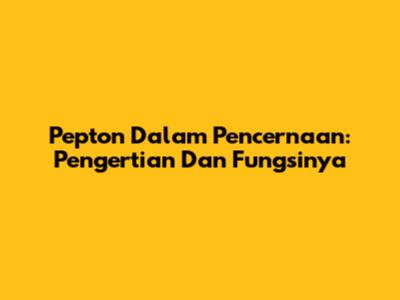 Pepton Dalam Pencernaan: Pengertian Dan Fungsinya
