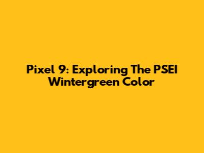 Pixel 9: Exploring The PSEI Wintergreen Color