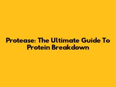 Protease: The Ultimate Guide To Protein Breakdown