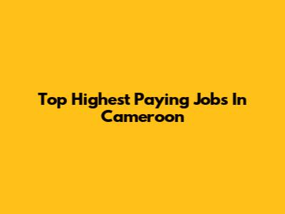 Top Highest Paying Jobs In Cameroon