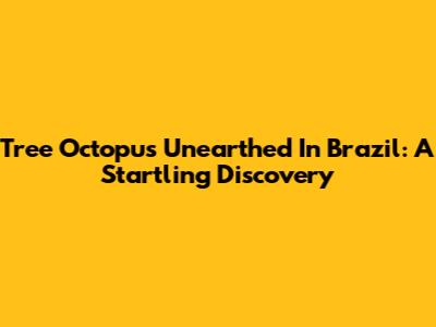 Tree Octopus Unearthed In Brazil: A Startling Discovery