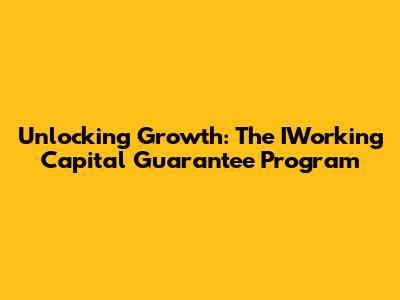 Unlocking Growth: The IWorking Capital Guarantee Program