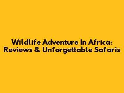Wildlife Adventure In Africa: Reviews & Unforgettable Safaris